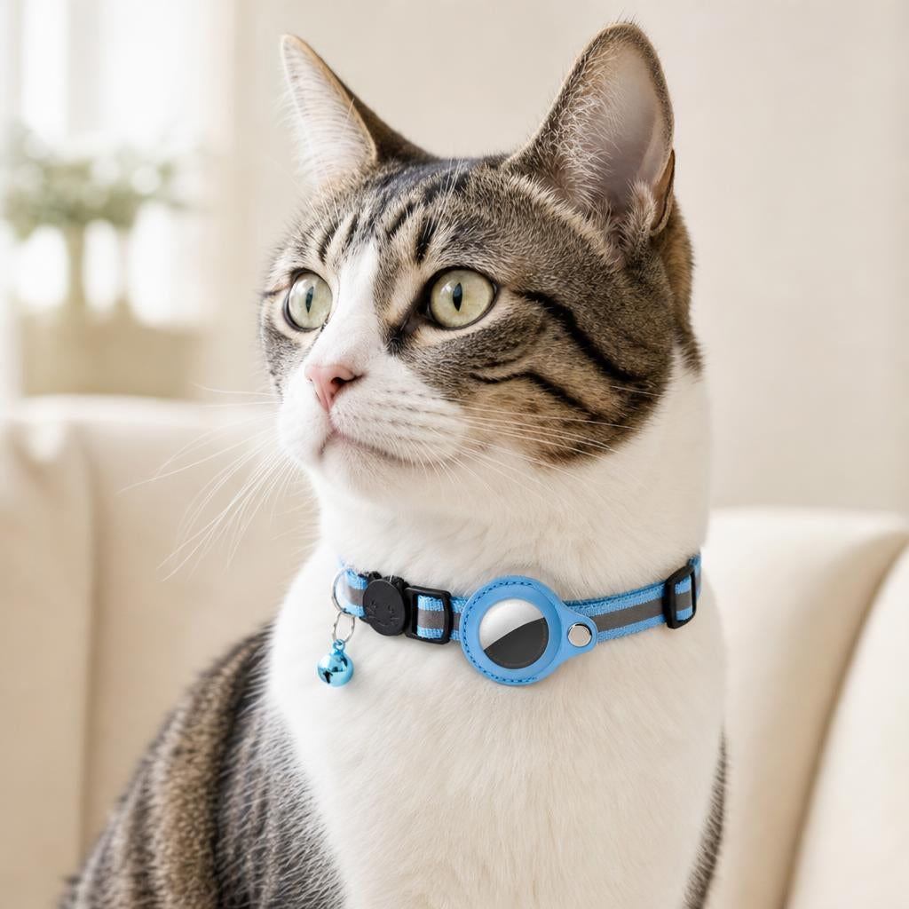 Collar Felinora color Azul