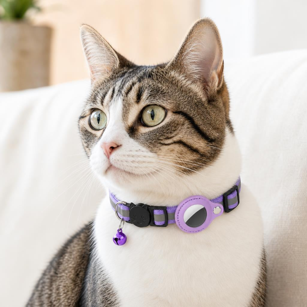 Collar Felinora color Morado