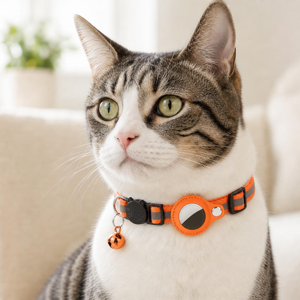 Collar Felinora color Naranja