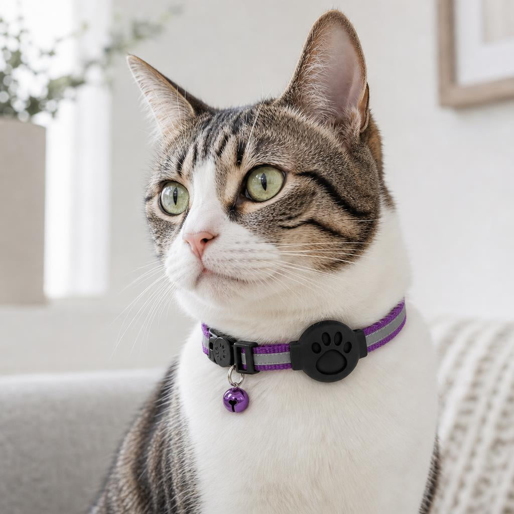 Felinora Halsband Farbe Lila